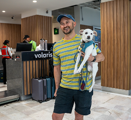 Viajar con mascotas