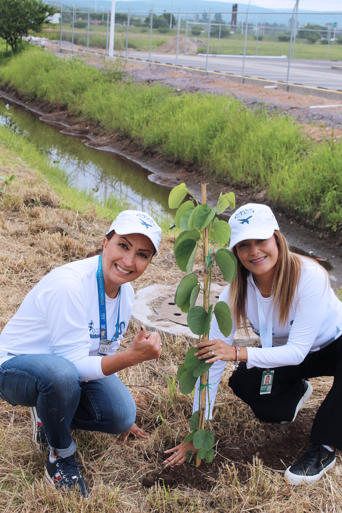 Reforestación AIQ