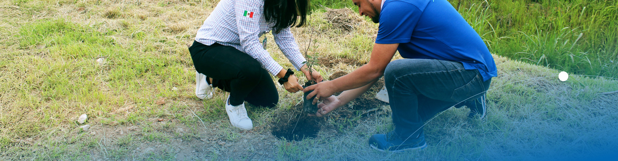 sustentabilidad