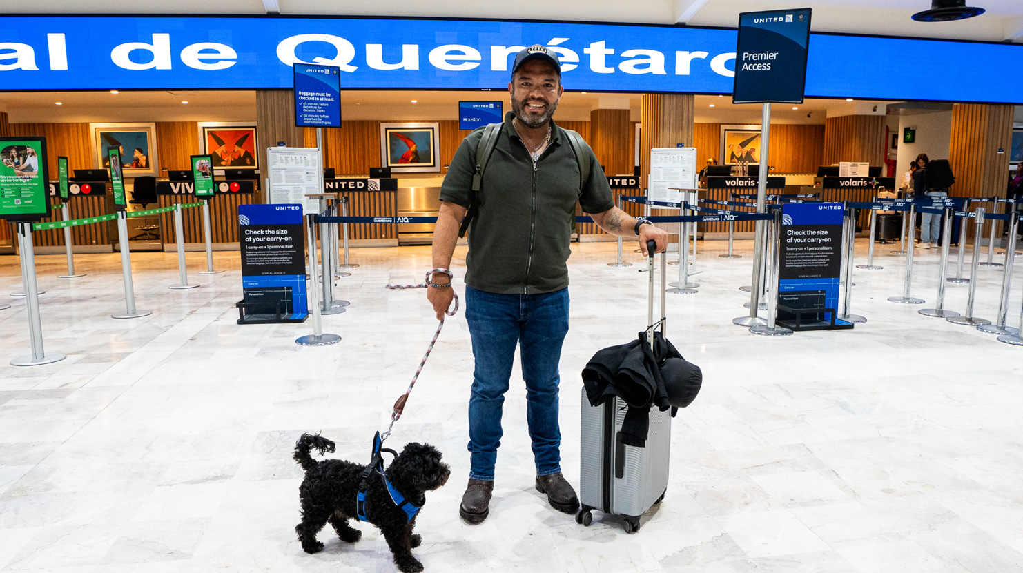 Mascotas en avión